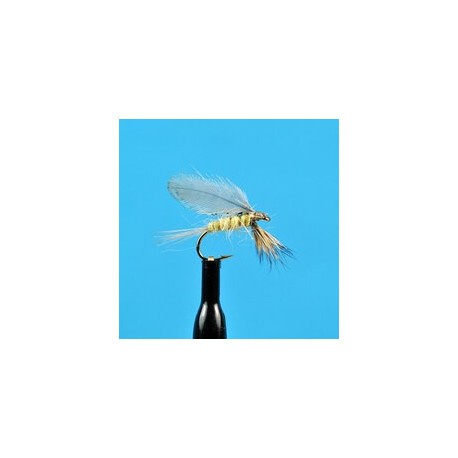 Dries Burnt Wing PMD $2.50
