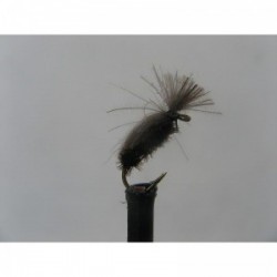 Dries beetle cdc $2.50