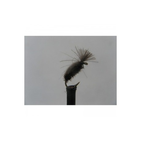 Dries beetle cdc $2.50