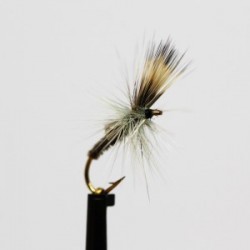 Dries ians straggler $2.50
