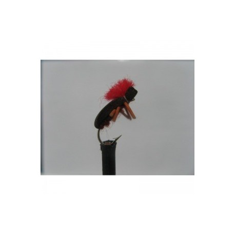 Dries brown foam beetle $2.50
