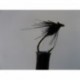 Dries ians guthrie s beetle $2.50