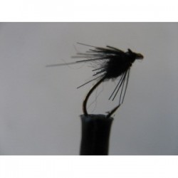 Dries ians guthrie s beetle $2.50