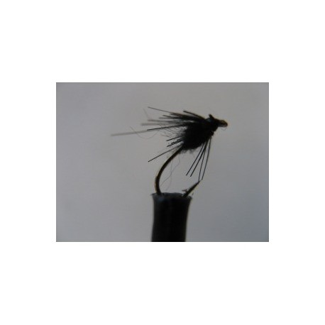 Dries ians guthrie s beetle $2.50