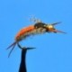 Beaded Nymphs Bead Head Orange Back Yellow Sally $2.50