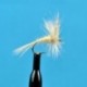 Dries Midge Dry Cream $2.34
