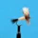 Dries Ausable Wulff $2.34