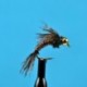 Beaded Nymphs Bead Head Pheasant Tail Hot Wired $2.50