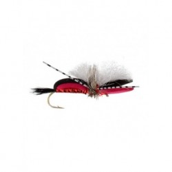 Terrestrials bashed hippie red $3.00