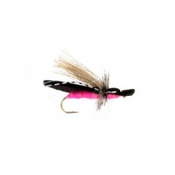 Terrestrials gypsy king pink $3.00