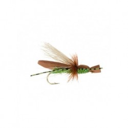 Terrestrials gypsy king golden brown $3.00