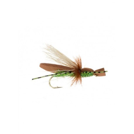 Terrestrials gypsy king golden brown $3.00