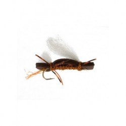 Terrestrials chubby chernobyl golden brown $3.00
