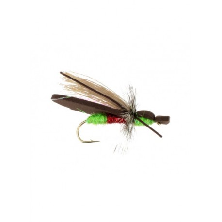 Terrestrials gypsy king watermelon $3.00