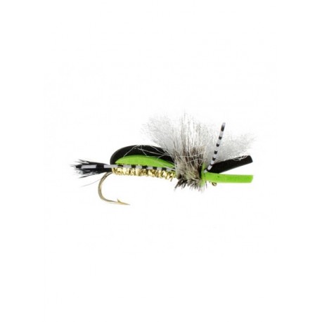 Terrestrials bashed hippie lime $3.00