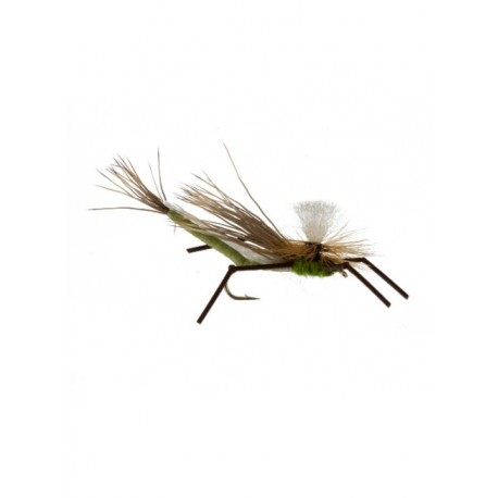 Dries carnage attractor olive $2.34