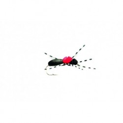 Terrestrials Ant Hi Vis Black Foam $3.00