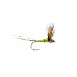 Dries Compara Dun Olive $2.50