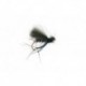Dries CdC Bibio $2.50