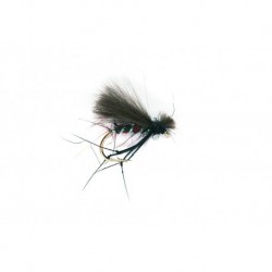 Dries CdC Bibio $2.50