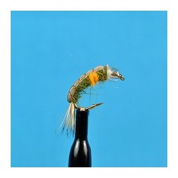 Beaded Nymphs Bead Head Pregnant Shrimp $2.50
