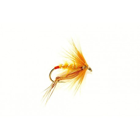 Dries Ginger $2.50