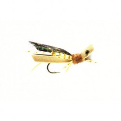 Terrestrials Grasshopper Tan Foam $2.50