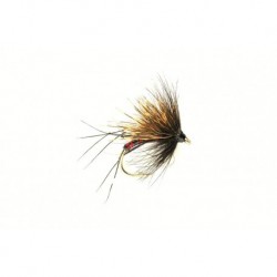 Dries Half Hog Black Red $2.50