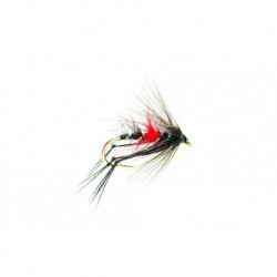 Dries Bibio $2.50