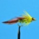 Streamers Orange Blossom Special $2.50
