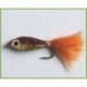 Streamers brownie josphat $4.00