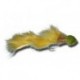 Streamers Wool Head Sculpin Olive $8.00