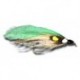 Streamers Green Beauty $2.50