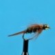 Beaded Nymphs Bead Head Prince Nymph Clear Wing $2.50
