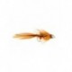 Streamers conehead blossom special $2.50