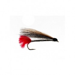 Streamers black nose dace $2.50