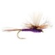 Dries Adams purple parachute $2.50