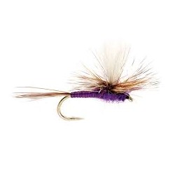 Dries Adams purple parachute $2.50