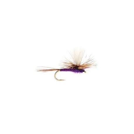 Dries Adams purple parachute $2.50