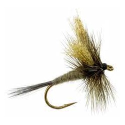 Dries Dark hendrickson $2.50