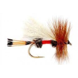 Dries Royal trude $2.50