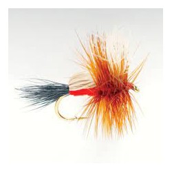 Dries Royal humphy $2.50