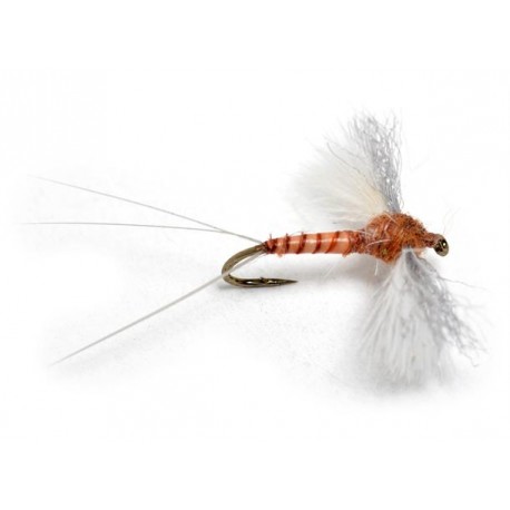 Dries CDC biot rusty spinner $2.50