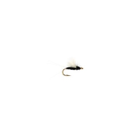 Dries RS2 Black $2.50