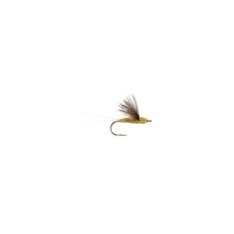 Dries RS2 PMD $2.50