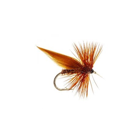 Dries Cinamon sedge $2.50