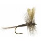 Dries Quill Gordon $2.50