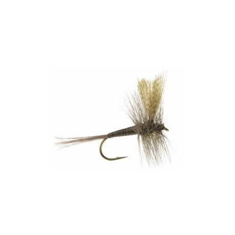 Dries Quill Gordon $2.50