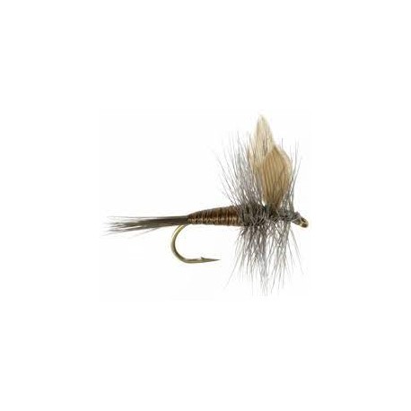 Dries Blue quill $2.50