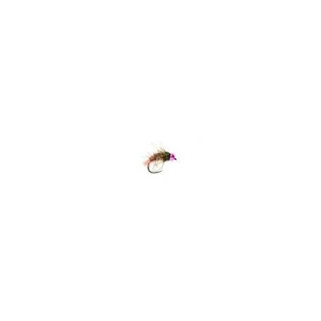 Tungsten Nymphs BL Tungsten SR Grayling Special $6.00